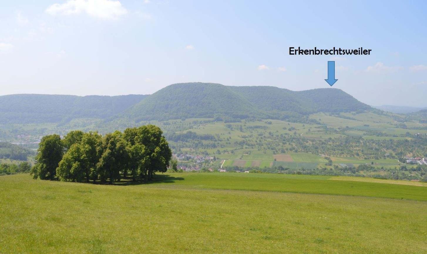 Fewo-Alb-Traum Erkenbrechtsweiler Zewnętrze zdjęcie